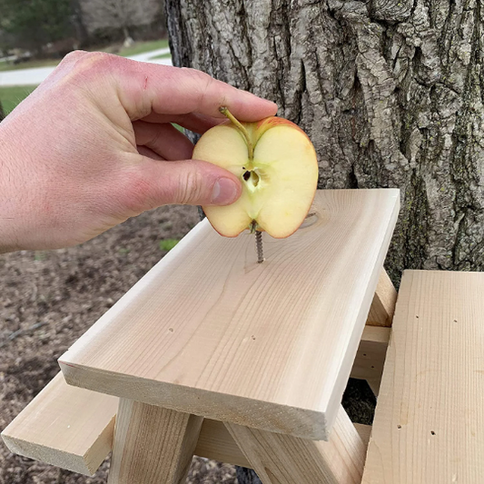 Squirrel Picnic Table