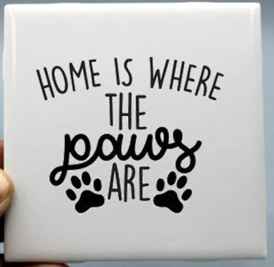 Dog Coasters