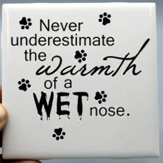 Dog Coasters