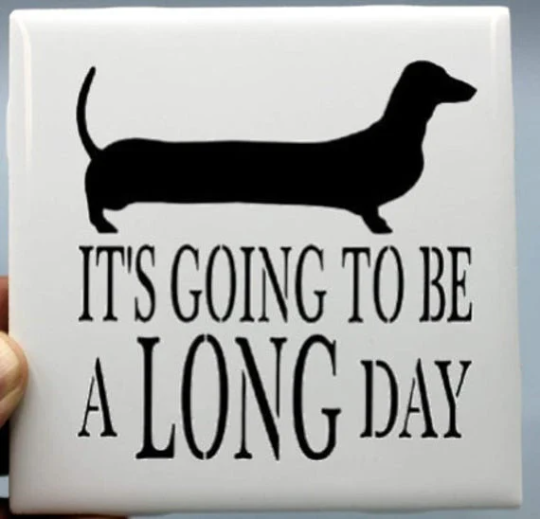Dog Coasters
