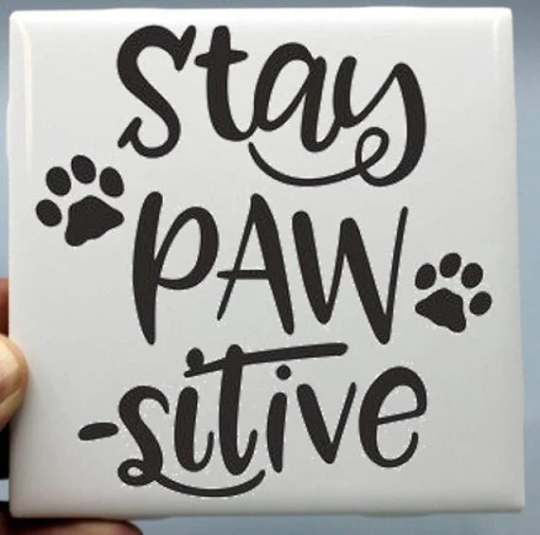 Dog Coasters