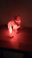 Dinosaur Night Light