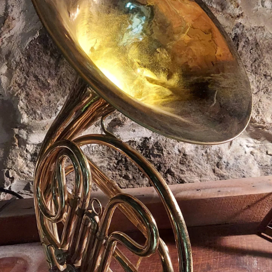 French Horn Lamp