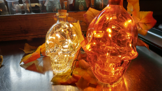 Skull Bottle Light