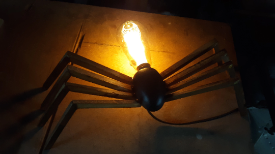 Spider wood  Light