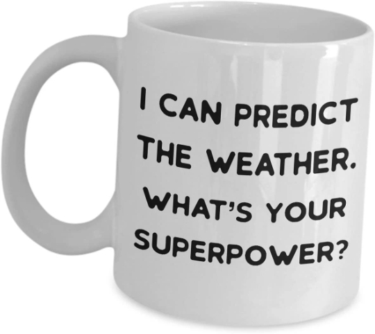 Meteorologist Mug
